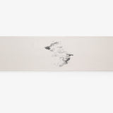 雲龍